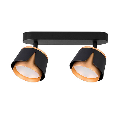 Спот потолочный ARTE LAMP AMAKS A8028PL-2BK