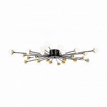 Накладная люстра Freya Celebrity / Селебрити FR5242CL-24B
