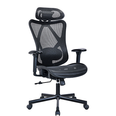 Кресло компьютерное BRABIX PREMIUM Axion ER-701 Черный 532965
